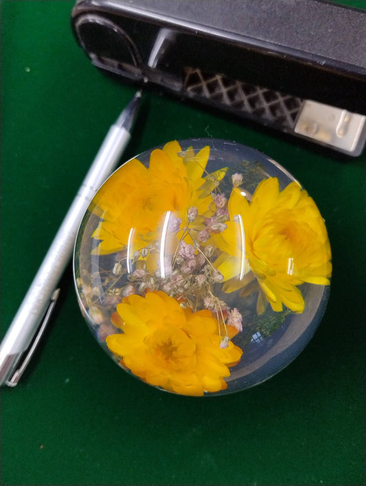 Helichrysum Yellow Paperweight
