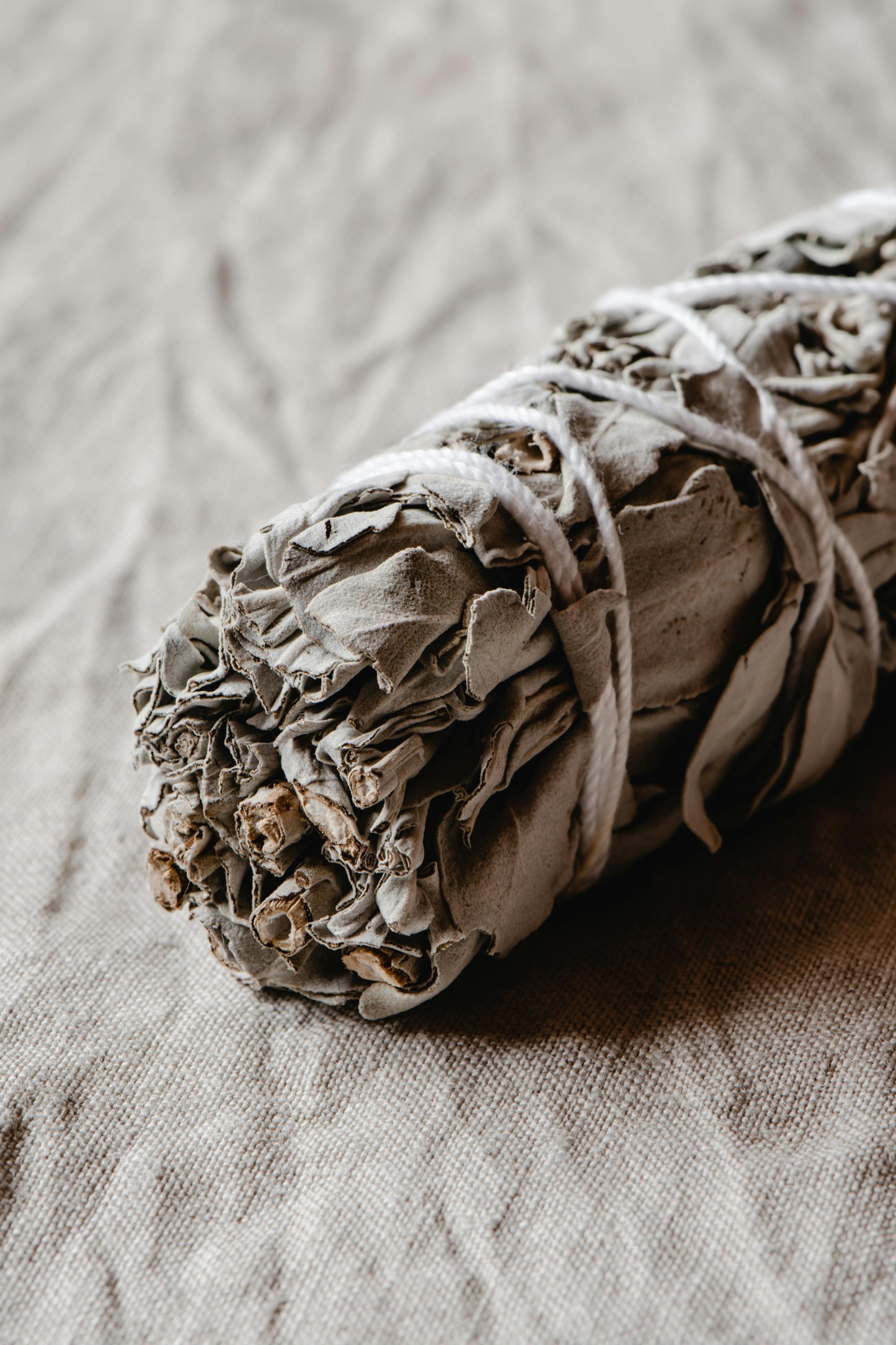 White Sage 1 piece - California White Sage from a Farm