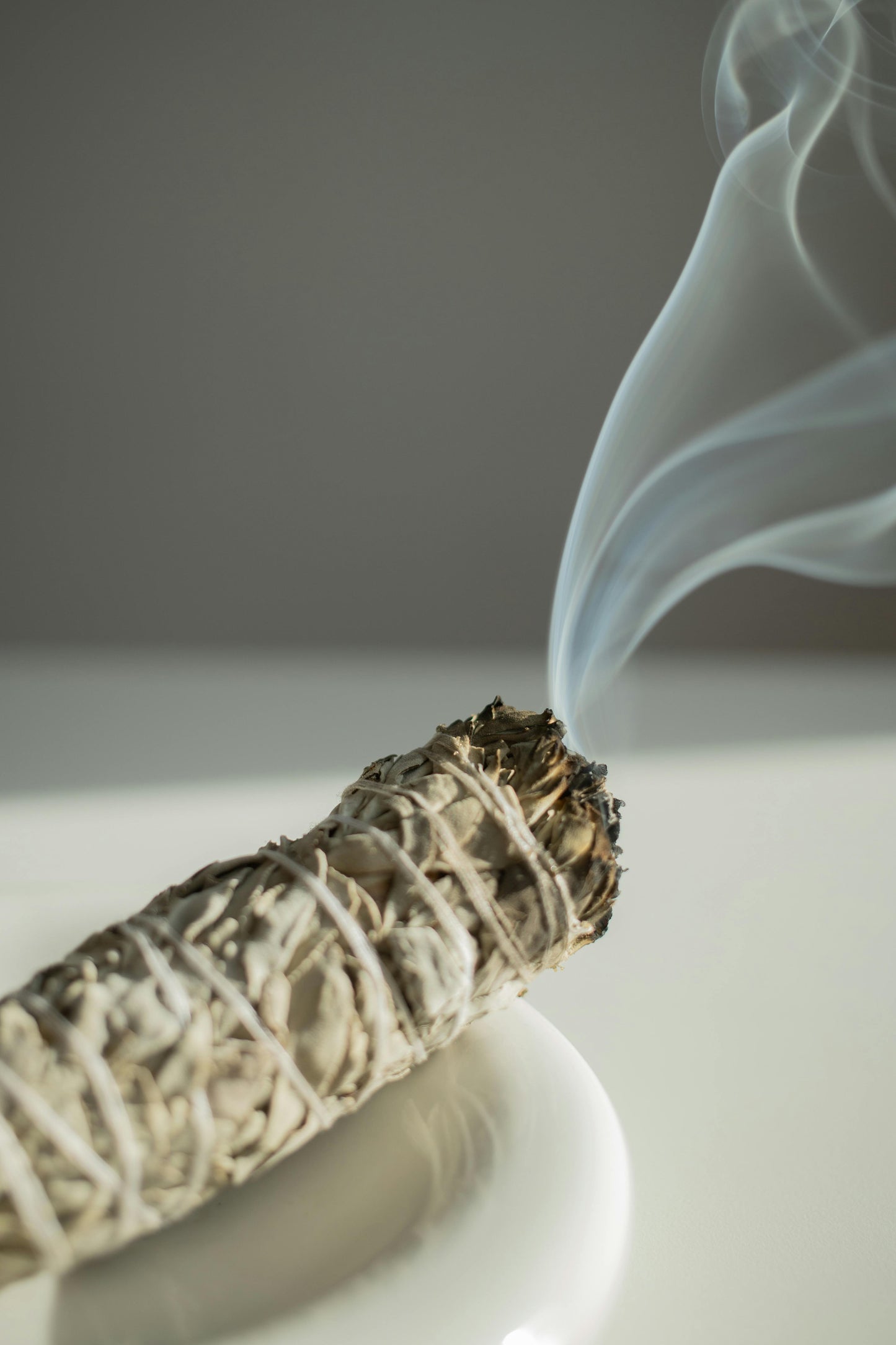 White Sage 1 piece - California White Sage from a Farm
