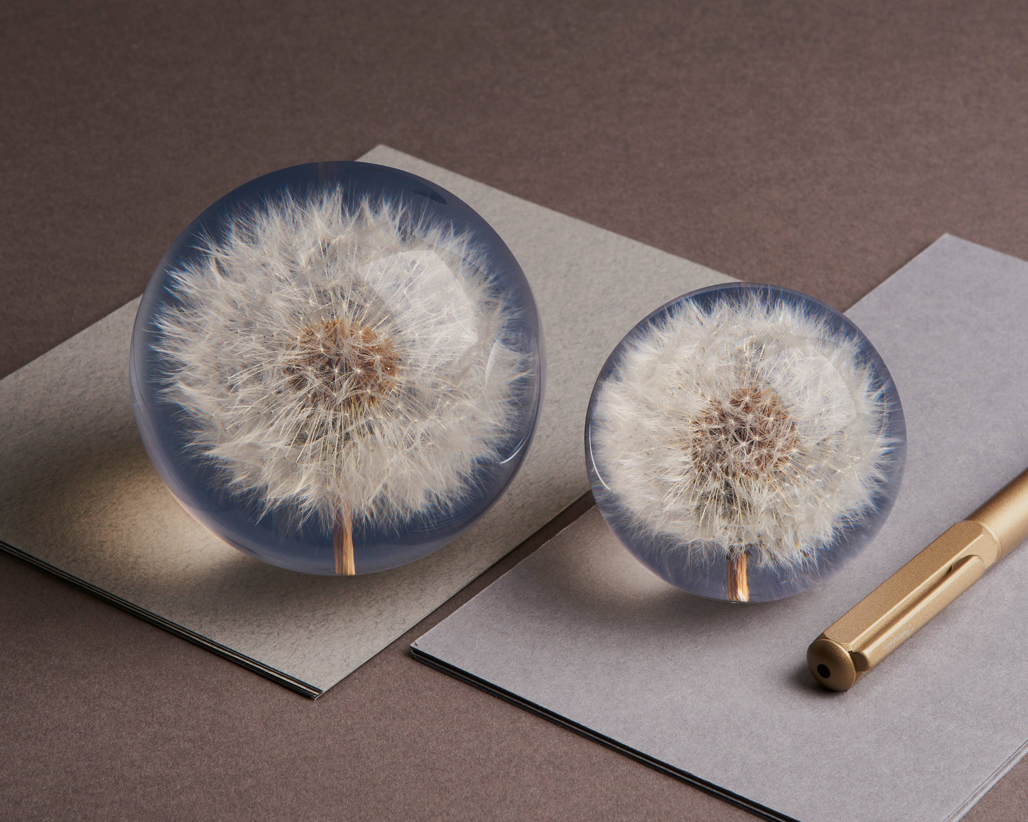 Paper Weights