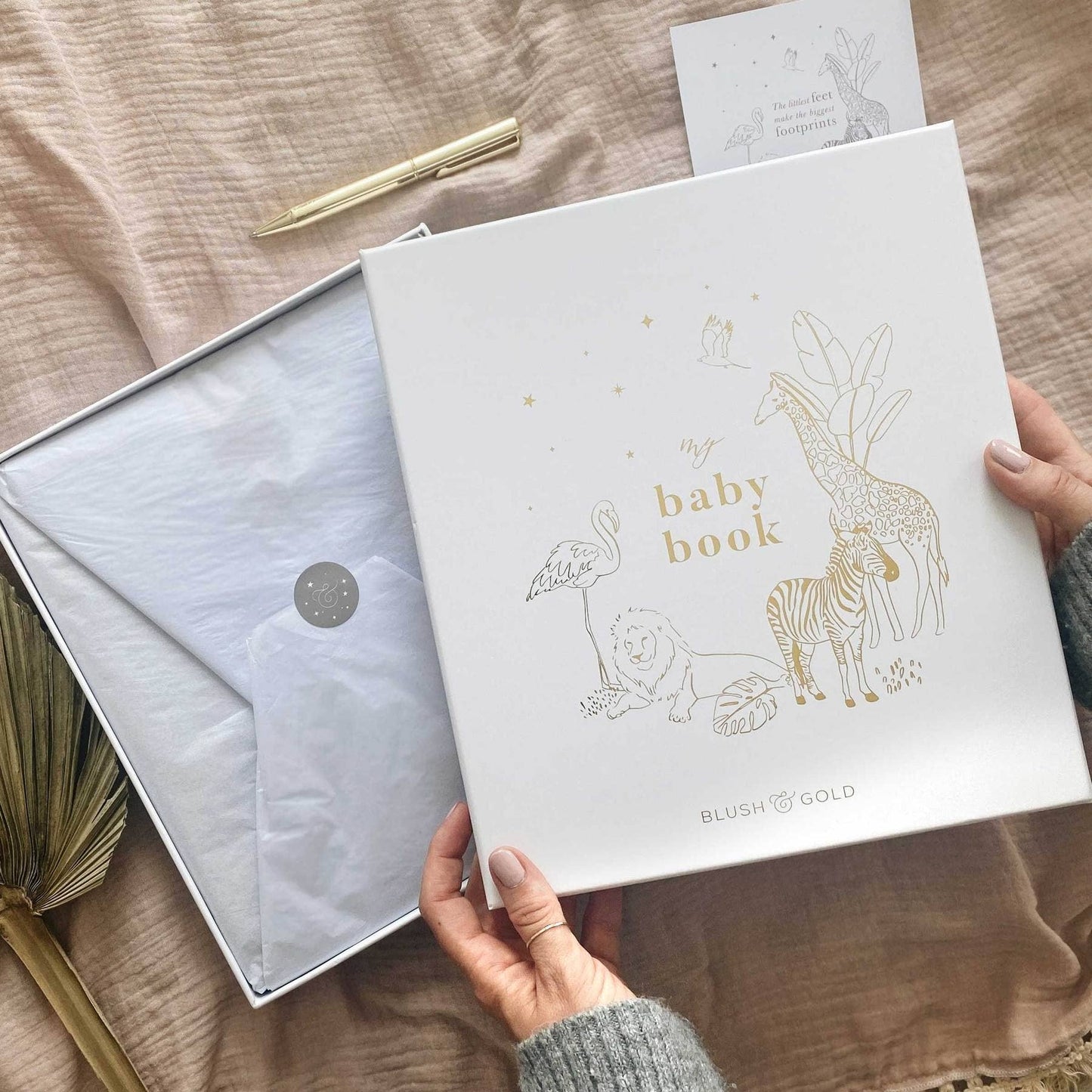 My Baby Book - Safari
