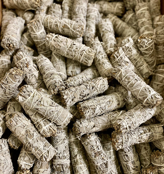 White Sage 1 piece - California White Sage from a Farm