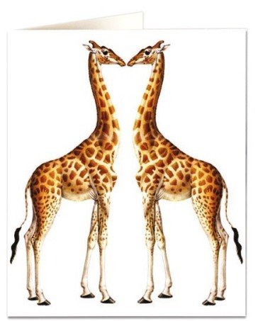 Giraffe Card