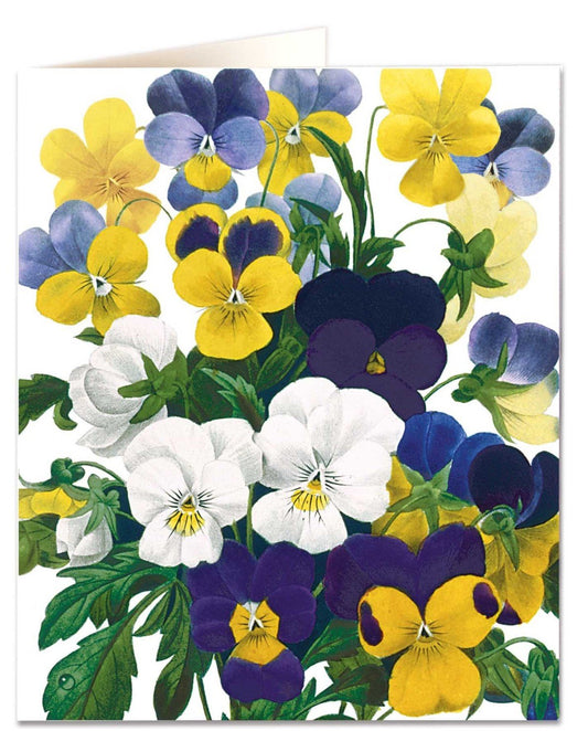 Violas Card