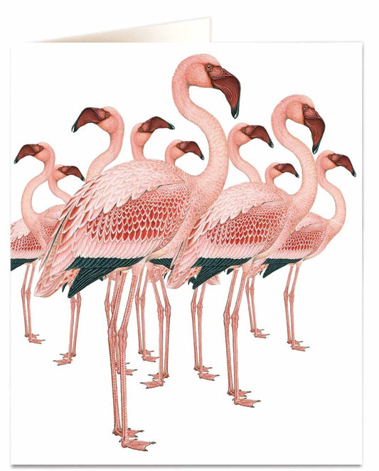 Flamingos Card