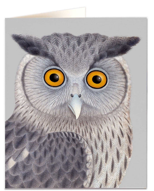 Dusky Eagle Owl Card