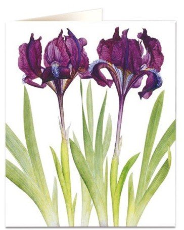 Iris Card