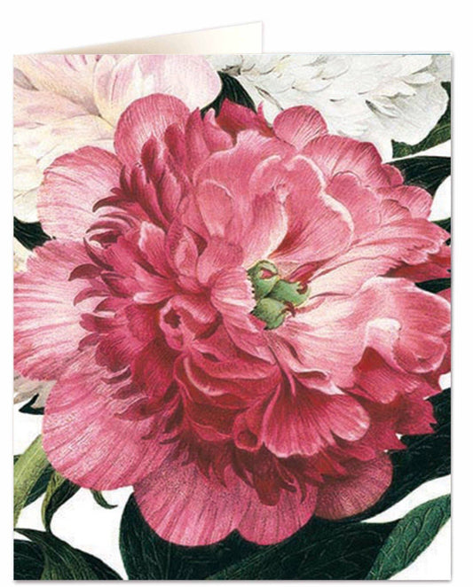 Pink Peoony Card