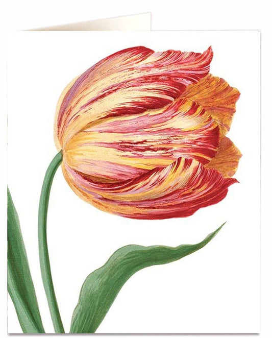 Tulip Card