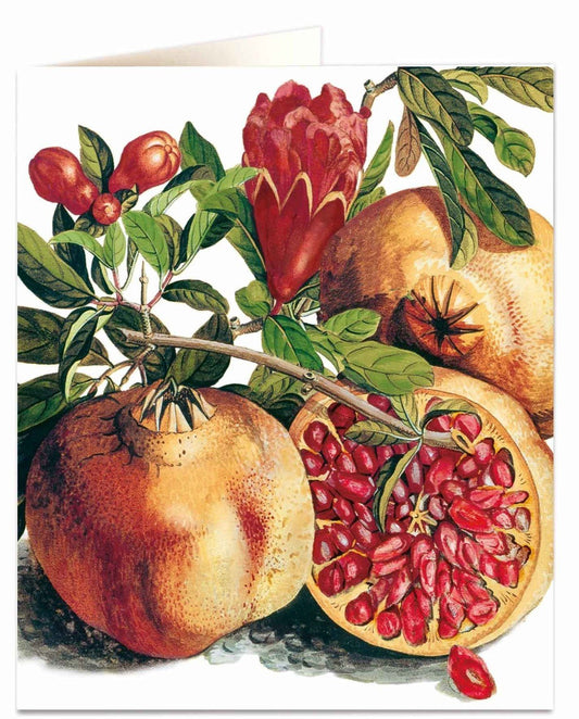 Pomegranate Card