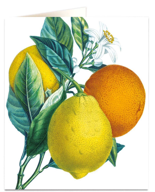 Orange & Lemon Card