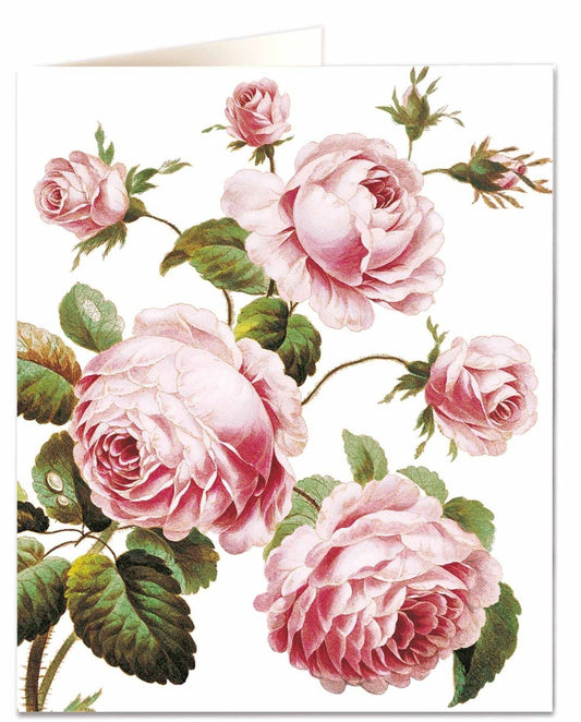 Cabbage Rose Card