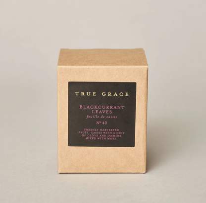 Blackcurrant Leaves 20cl Candle